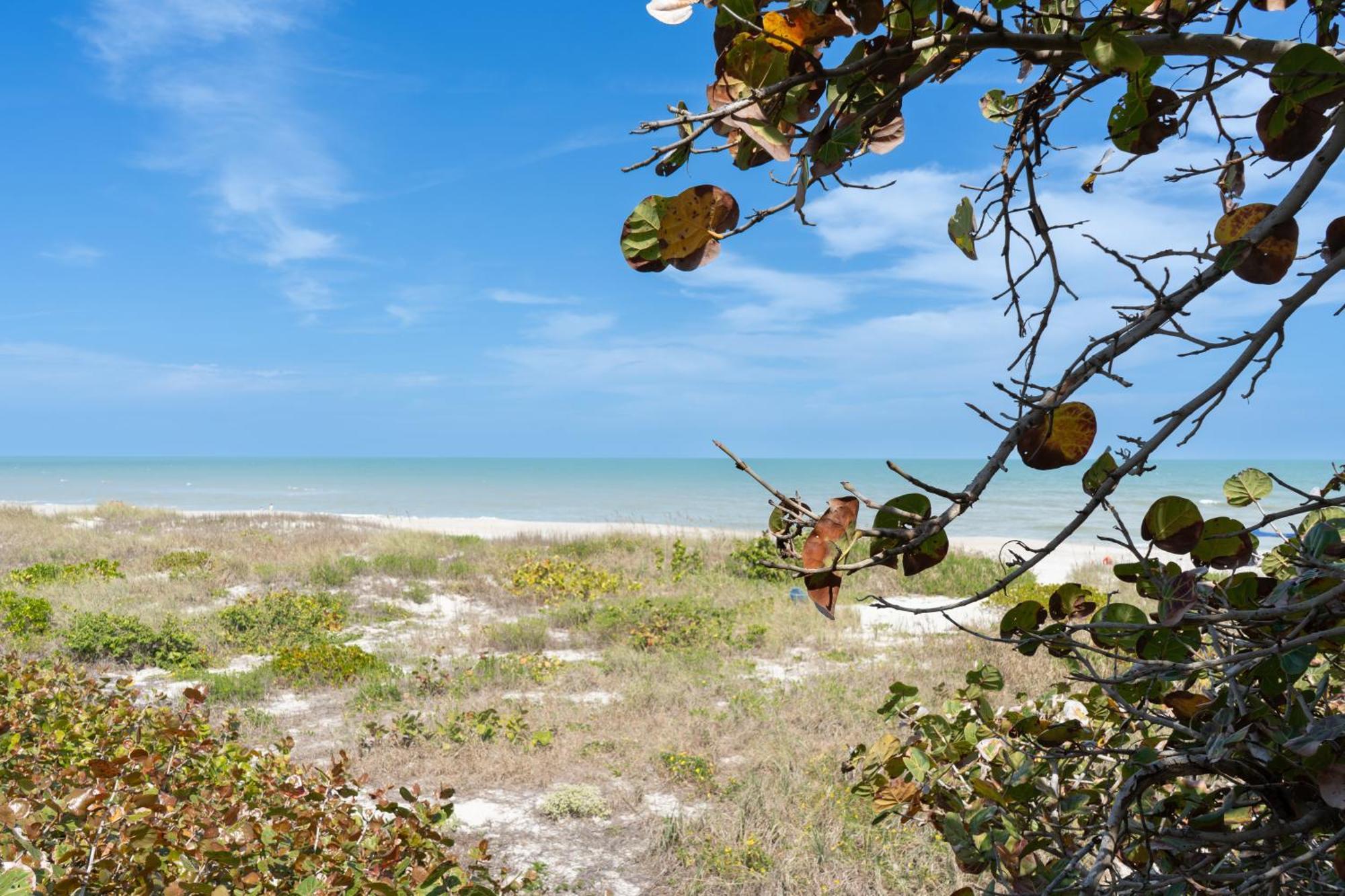 Sole Suite #1-2 Min To Beach-Patio & Courtyard Cocoa Beach Exteriör bild